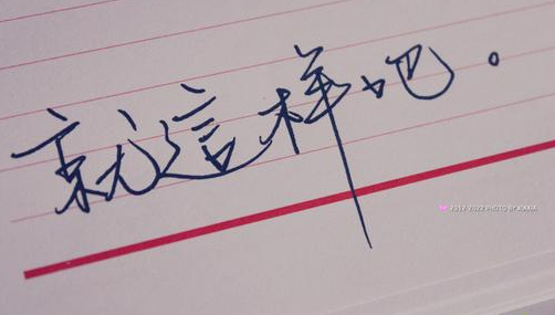 &#21322;&#23707;&#32593;&#39029;&#29256;&#45;&#21322;&#23707;&#98;&#97;&#110;&#100;&#97;&#111;&#65288;&#20013;&#22269;&#65289;